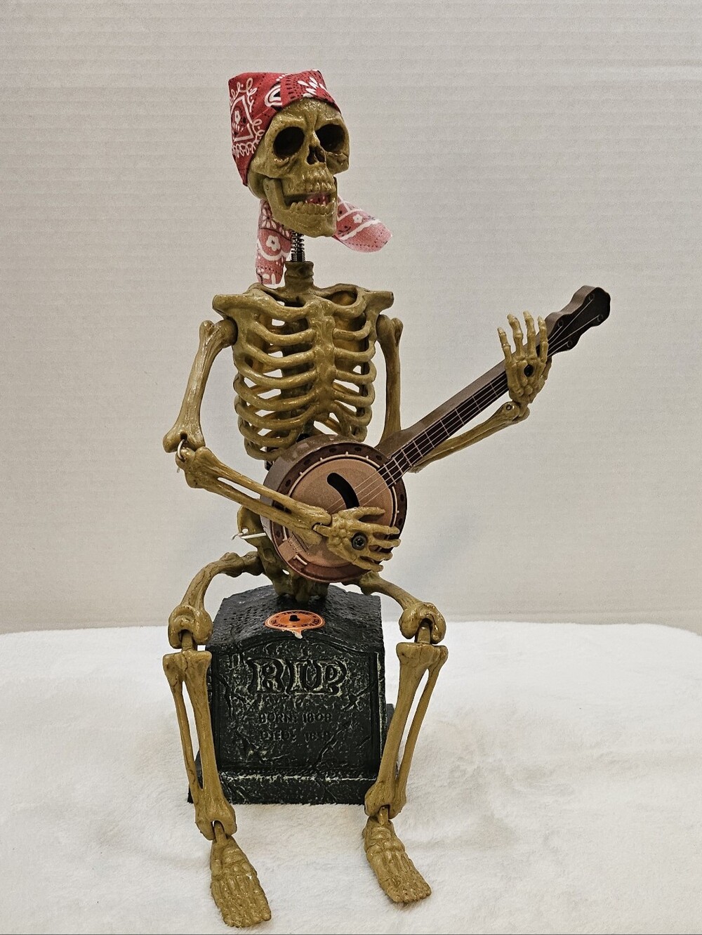 Banjo Playing Skeleton